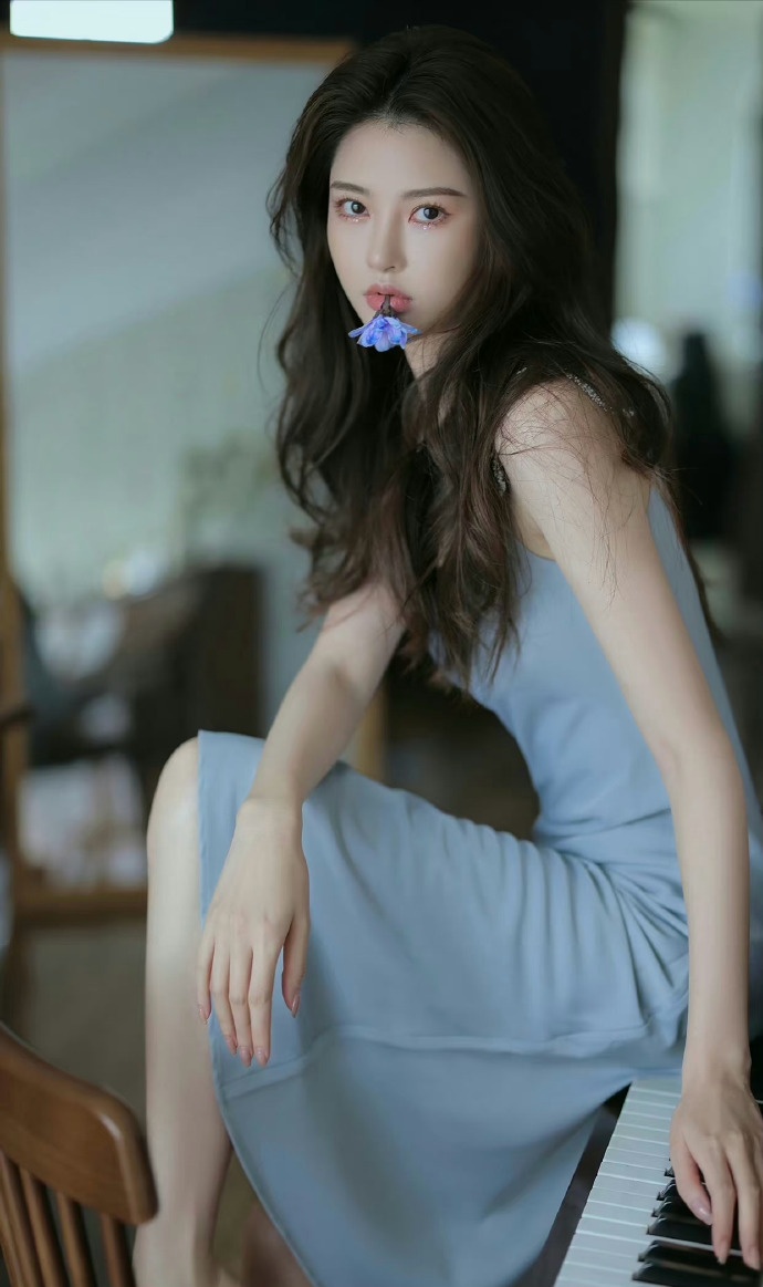 我的阿勒泰 封面